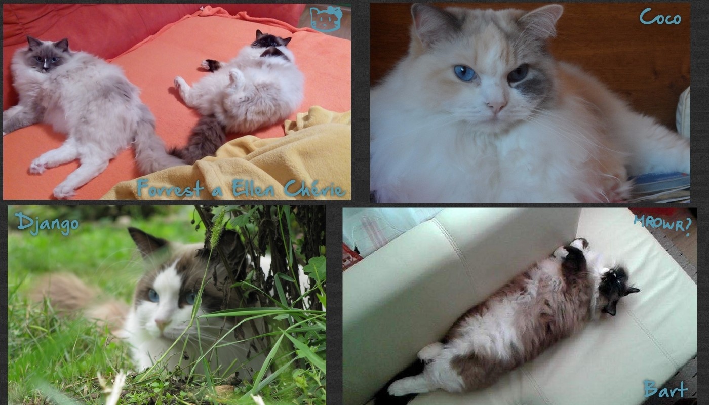 mimi1.jpg, 238kB