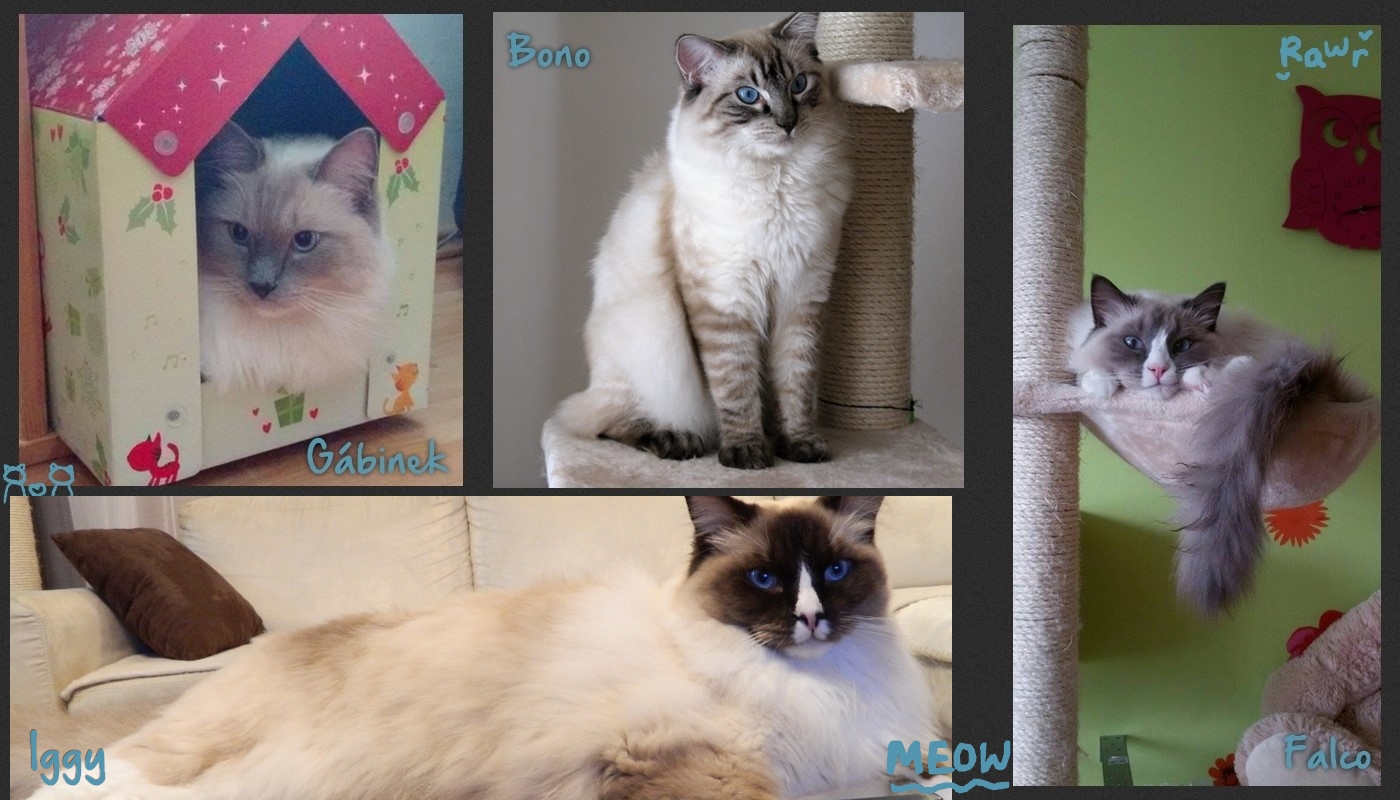 mimi2.jpg, 552kB