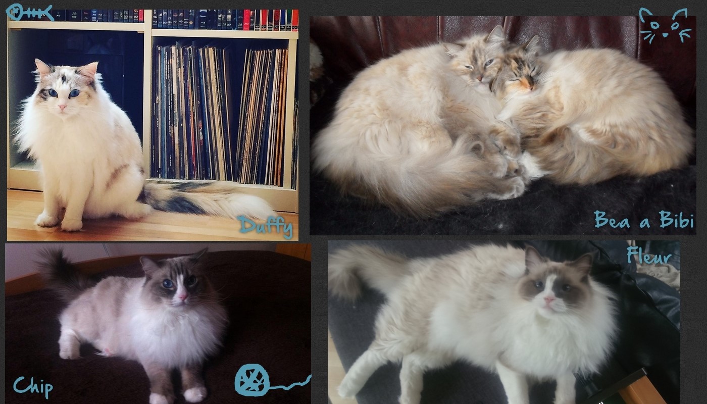 mimi3.jpg, 243kB