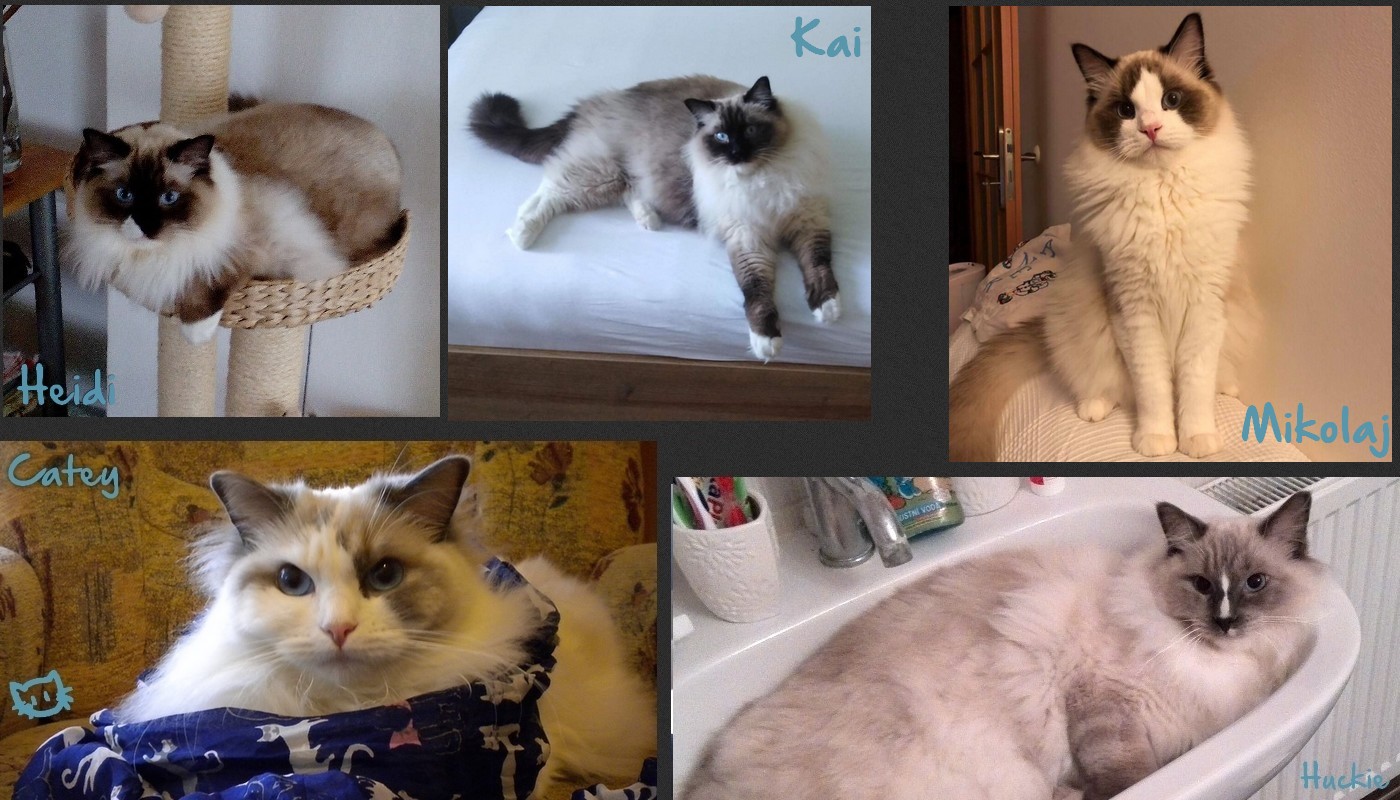mimi6.2.jpg, 270kB