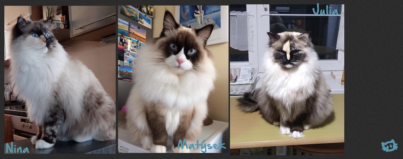 mimi8.jpg, 208kB