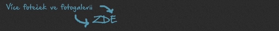 odch.jpg, 68kB