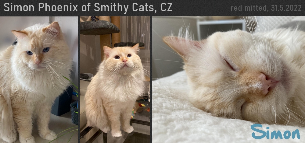 simon1.jpg, 340kB
